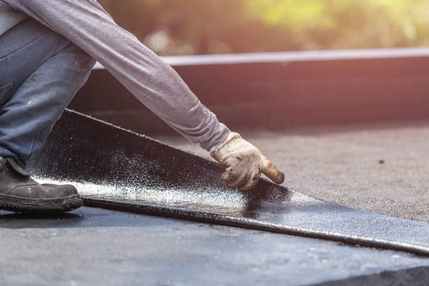 Professional Interior Drainage System technician working in Drayden, MD